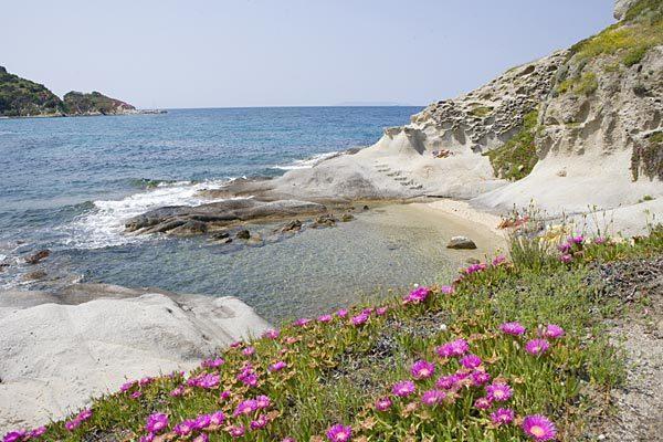 B & B Summer Marciana  Zewnętrze zdjęcie